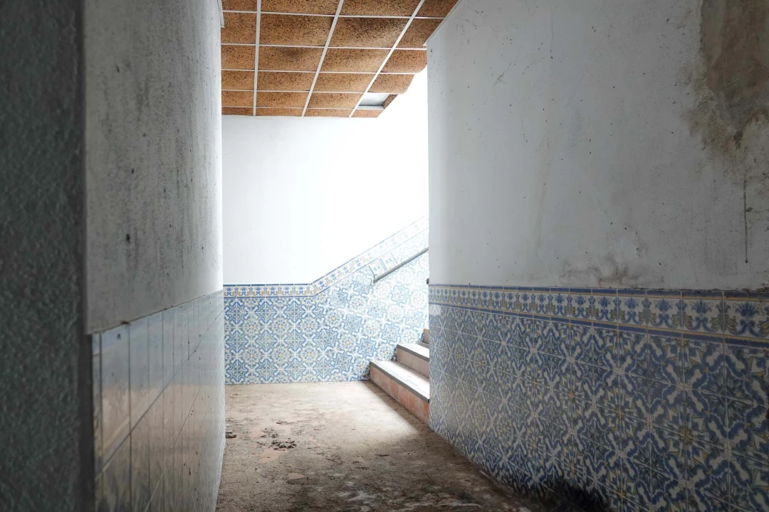 Negócio para Venda em São Miguel do Rio Torto e Rossio Ao Sul do Tejo Foto 5