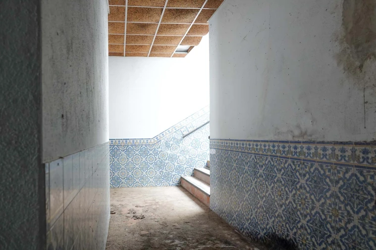 Negócio para Venda em São Miguel do Rio Torto e Rossio Ao Sul do Tejo Foto 5