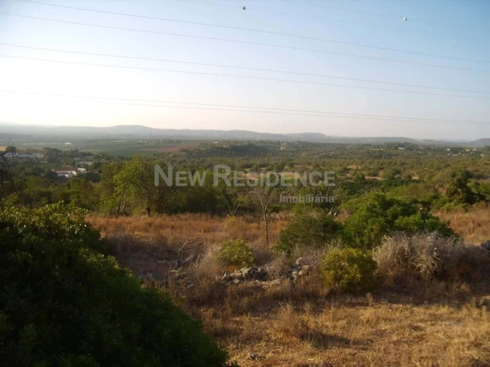 Terreno para Venda em Silves Foto 4