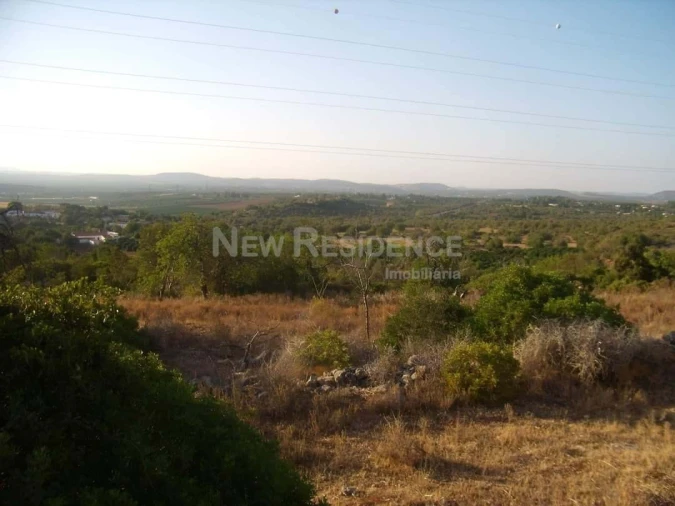 Terreno para Venda em Silves Foto 4