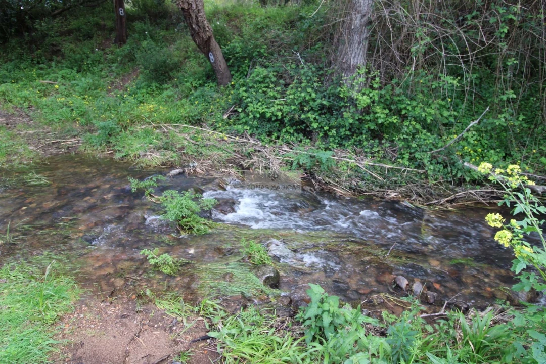 Quinta T3 para Venda em Marmelete Foto 32