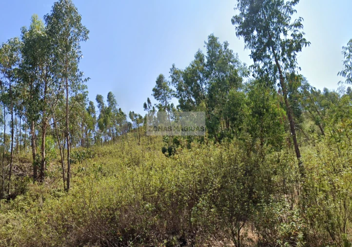 Quinta T3 para Venda em Marmelete Foto 3