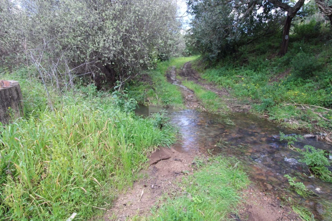 Quinta T3 para Venda em Marmelete Foto 31