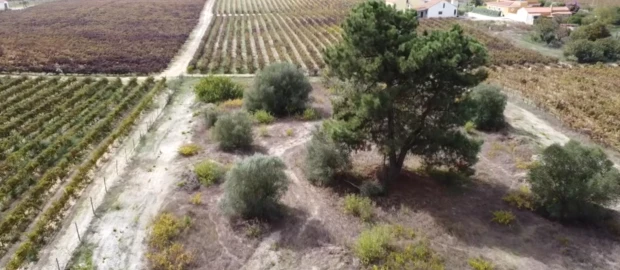 Terreno para Venda em Palmela
