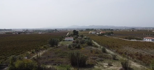Terreno para Venda em Palmela