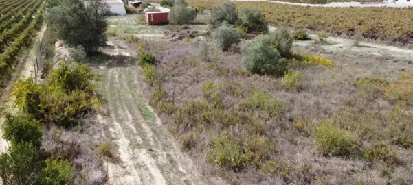 Terreno para Venda em Palmela