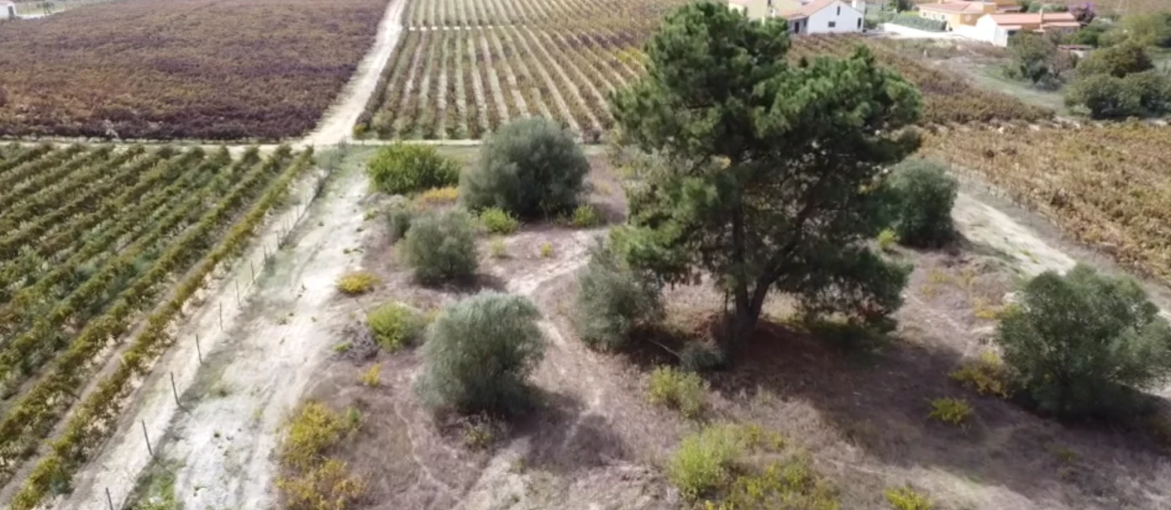 Terreno para Venda em Palmela Foto 5