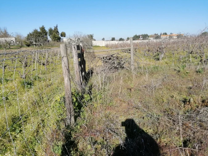 Terreno para Venda em Palmela Foto 23