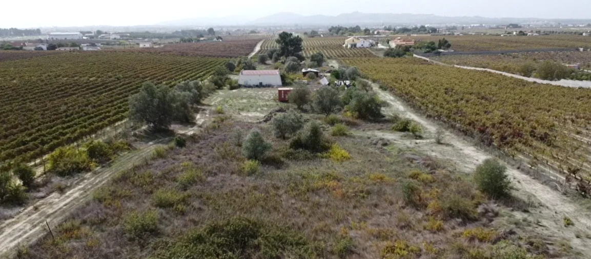Terreno para Venda em Palmela Foto 8