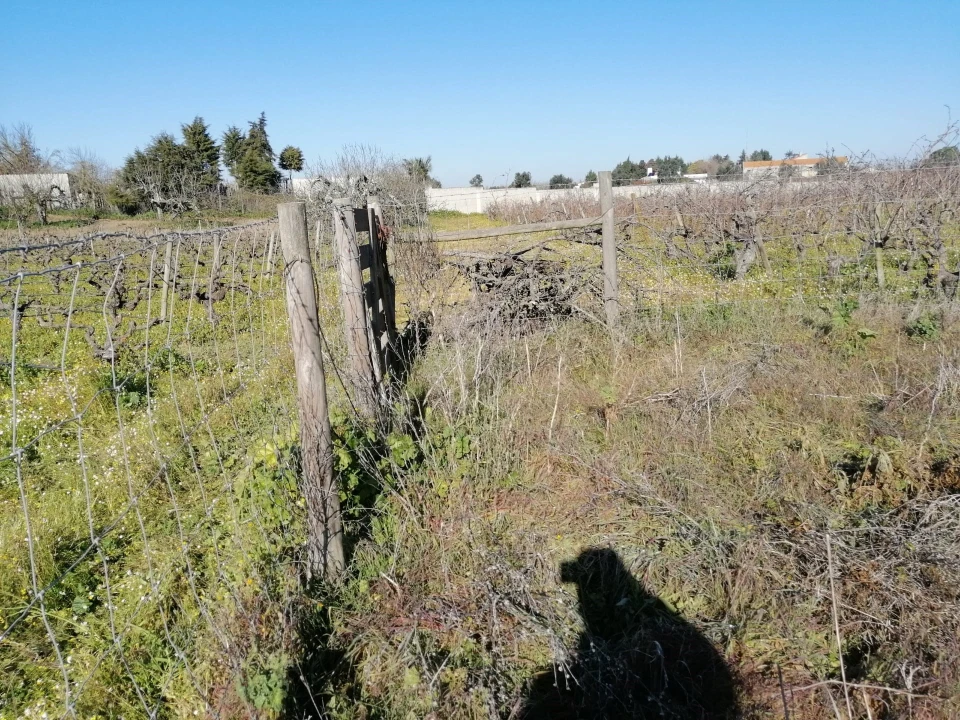 Terreno para Venda em Palmela Foto 23