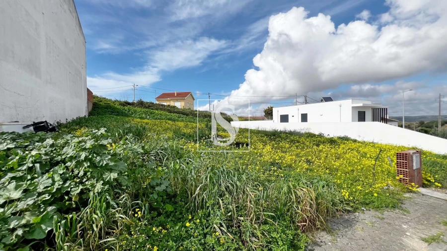 Terreno para Venda em Lourinhã e Atalaia Foto 4