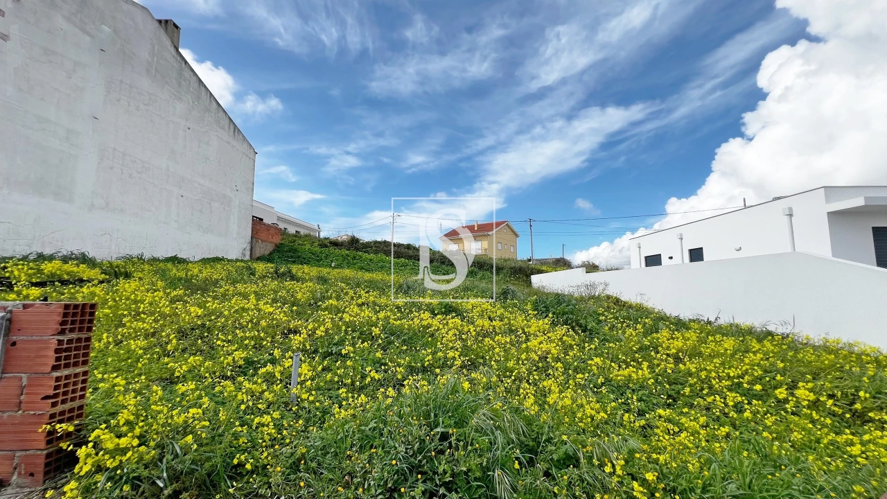 Terreno para Venda em Lourinhã e Atalaia Foto 6