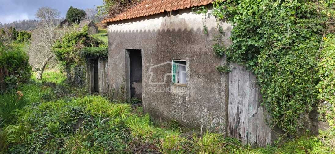 Terreno para Venda em Fajã da Ovelha Foto 22