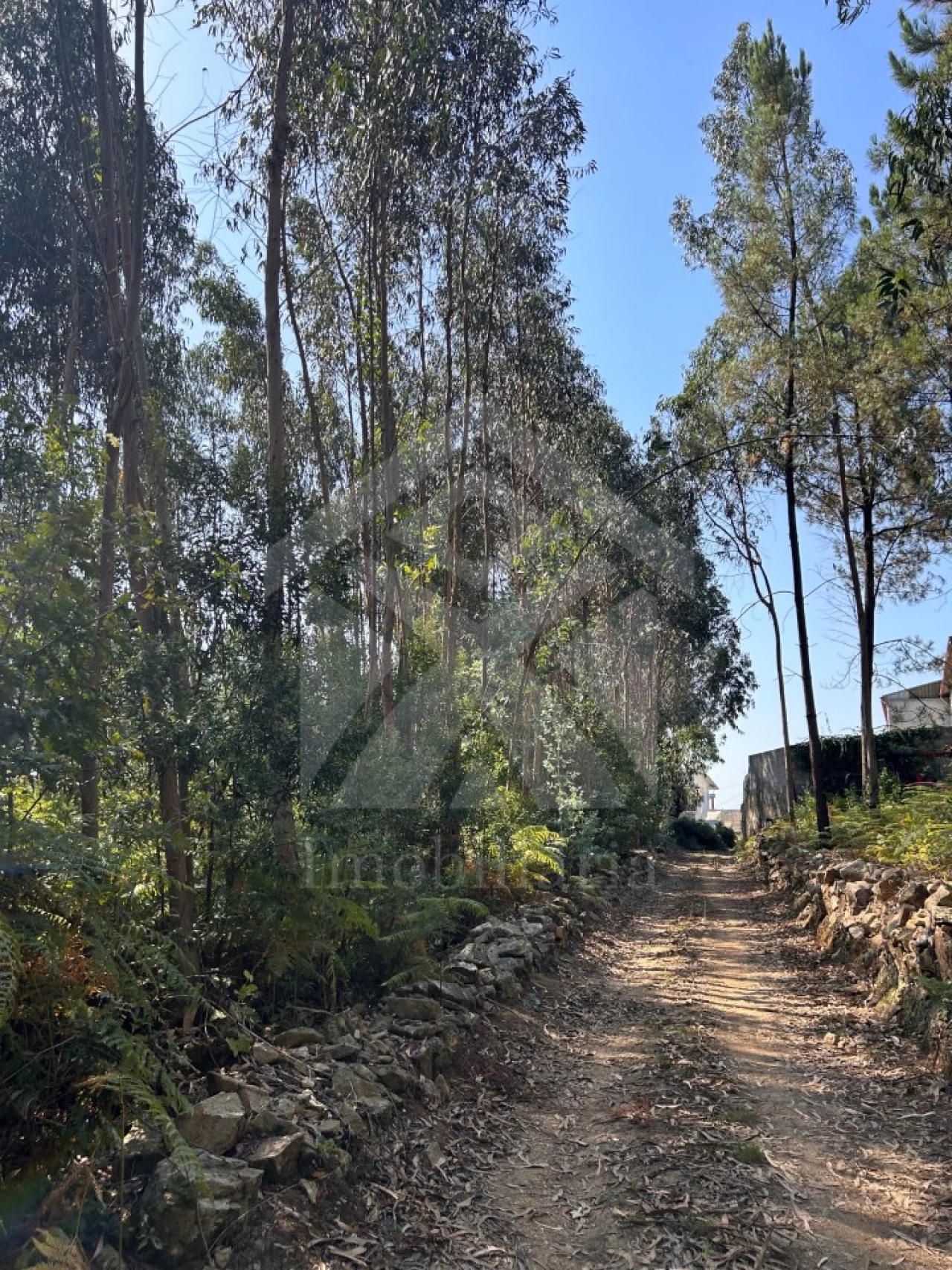 Terreno para Venda em Alvarelhos e Guidões Foto 5