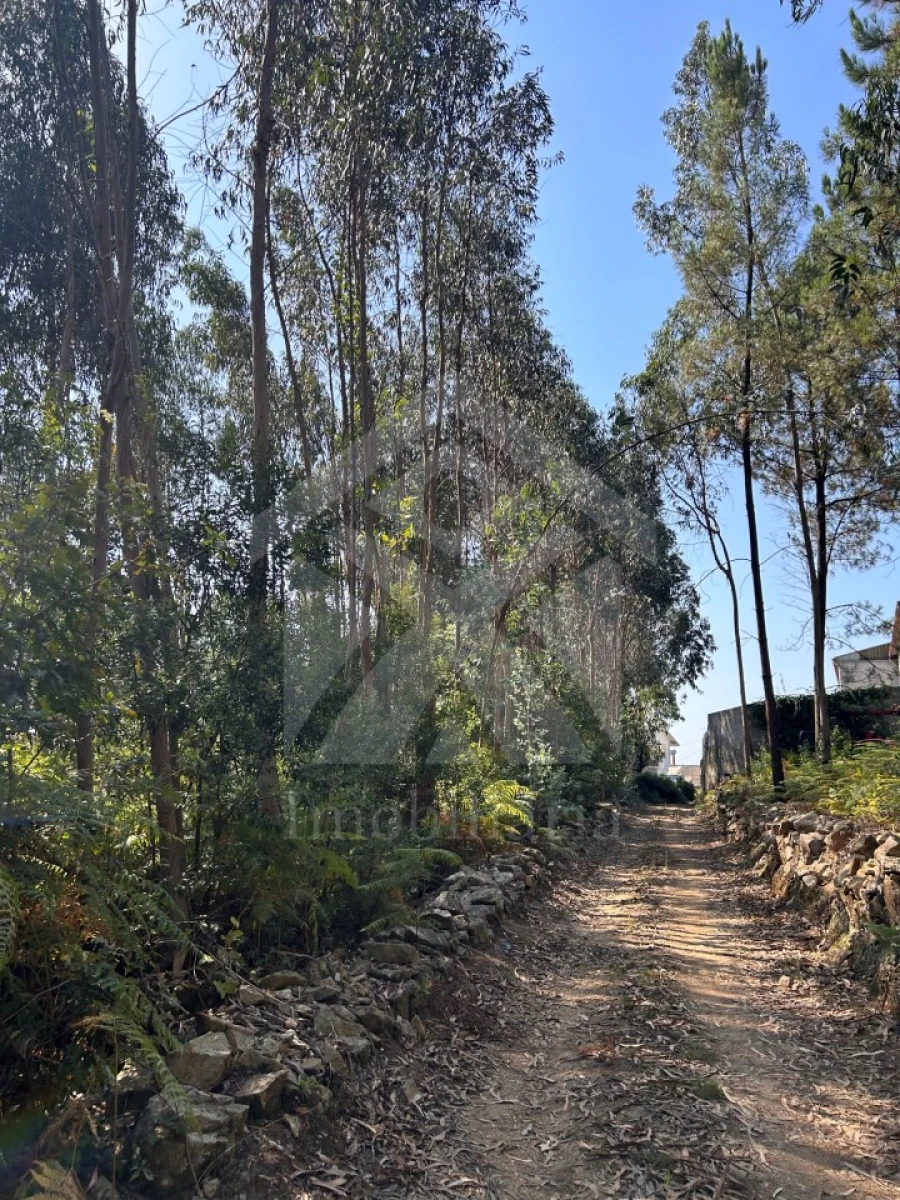 Terreno para Venda em Alvarelhos e Guidões Foto 5