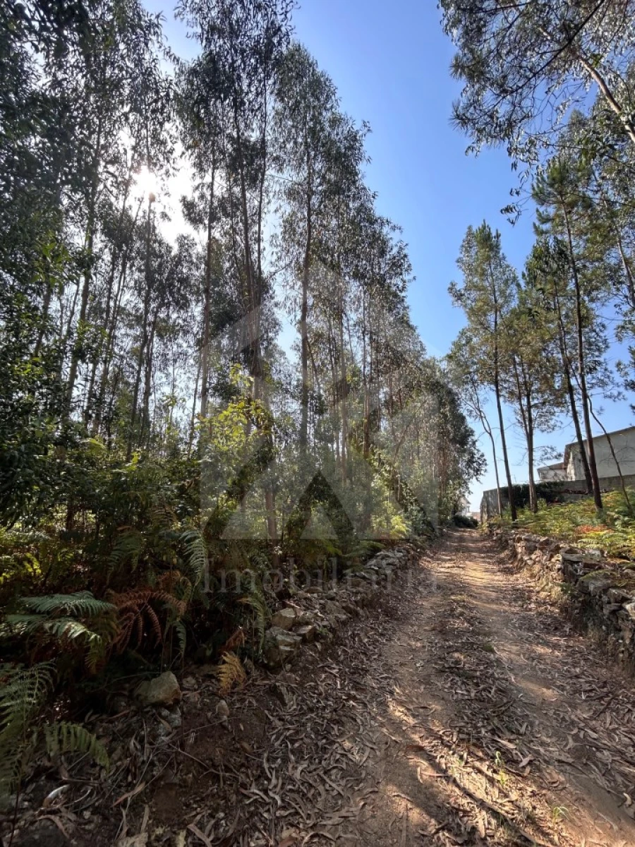 Terreno para Venda em Alvarelhos e Guidões Foto 9