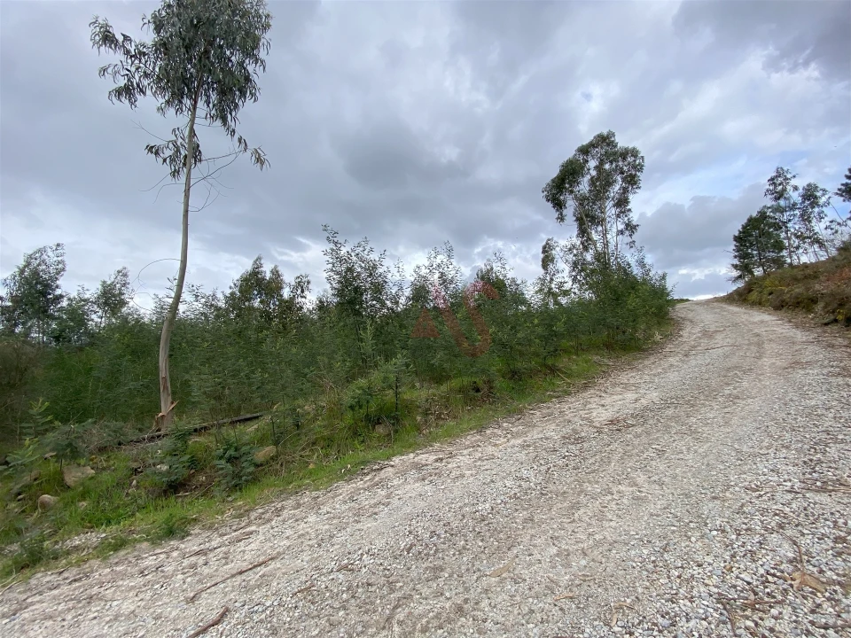 Terreno para Venda em Lustosa e Barrosas (Santo Estêvão) Foto 6