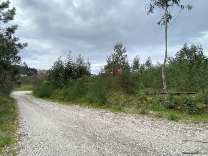 Terreno para Venda em Lustosa e Barrosas (Santo Estêvão) Foto 8
