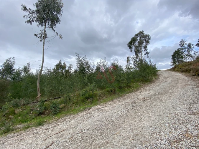 Terreno para Venda em Lustosa e Barrosas (Santo Estêvão) Foto 6