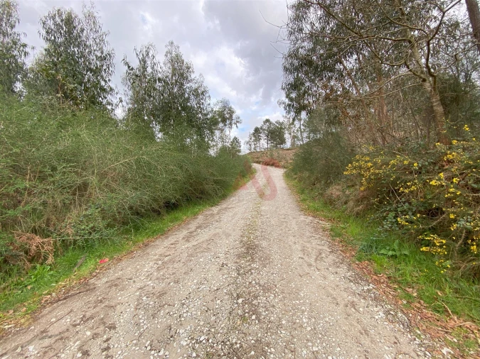 Terreno para Venda em Lustosa e Barrosas (Santo Estêvão) Foto 5