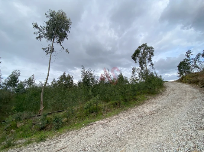 Terreno para Venda em Lustosa e Barrosas (Santo Estêvão) Foto 7