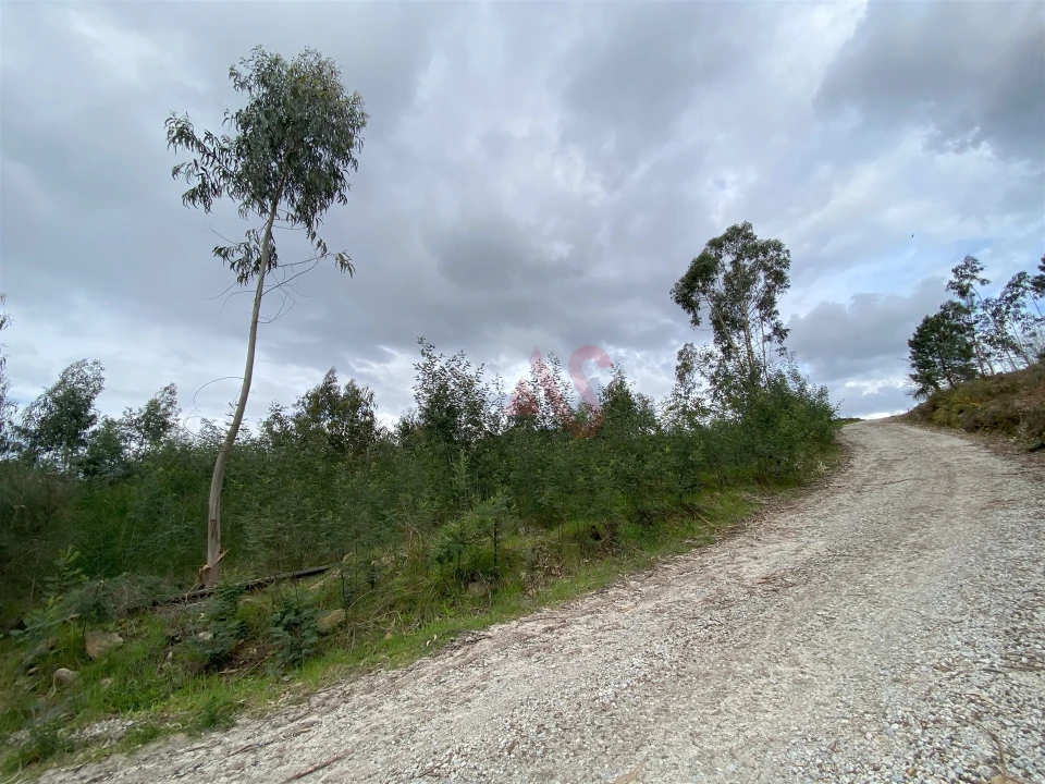 Terreno para Venda em Lustosa e Barrosas (Santo Estêvão) Foto 7