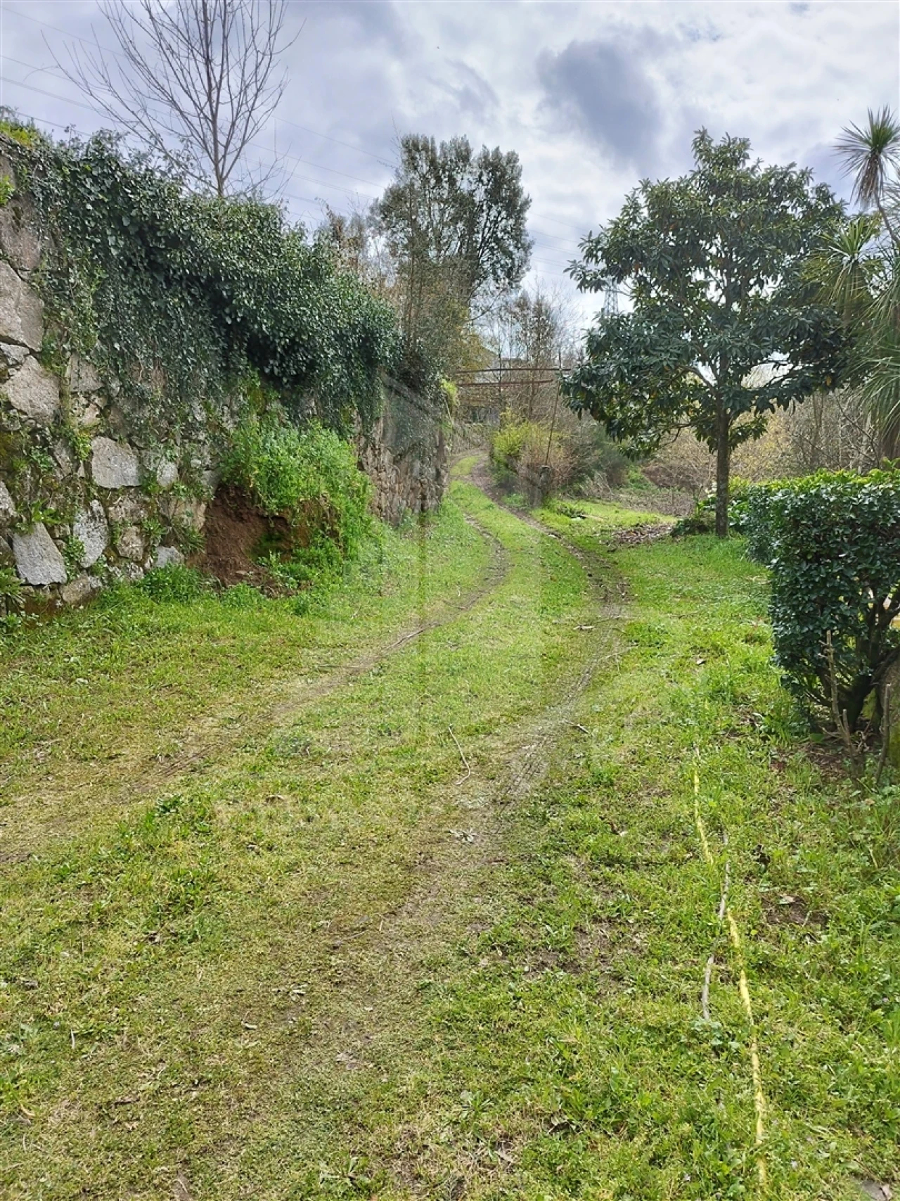 Quinta T0 para Venda em Ferreiros e Gondizalves Foto 15