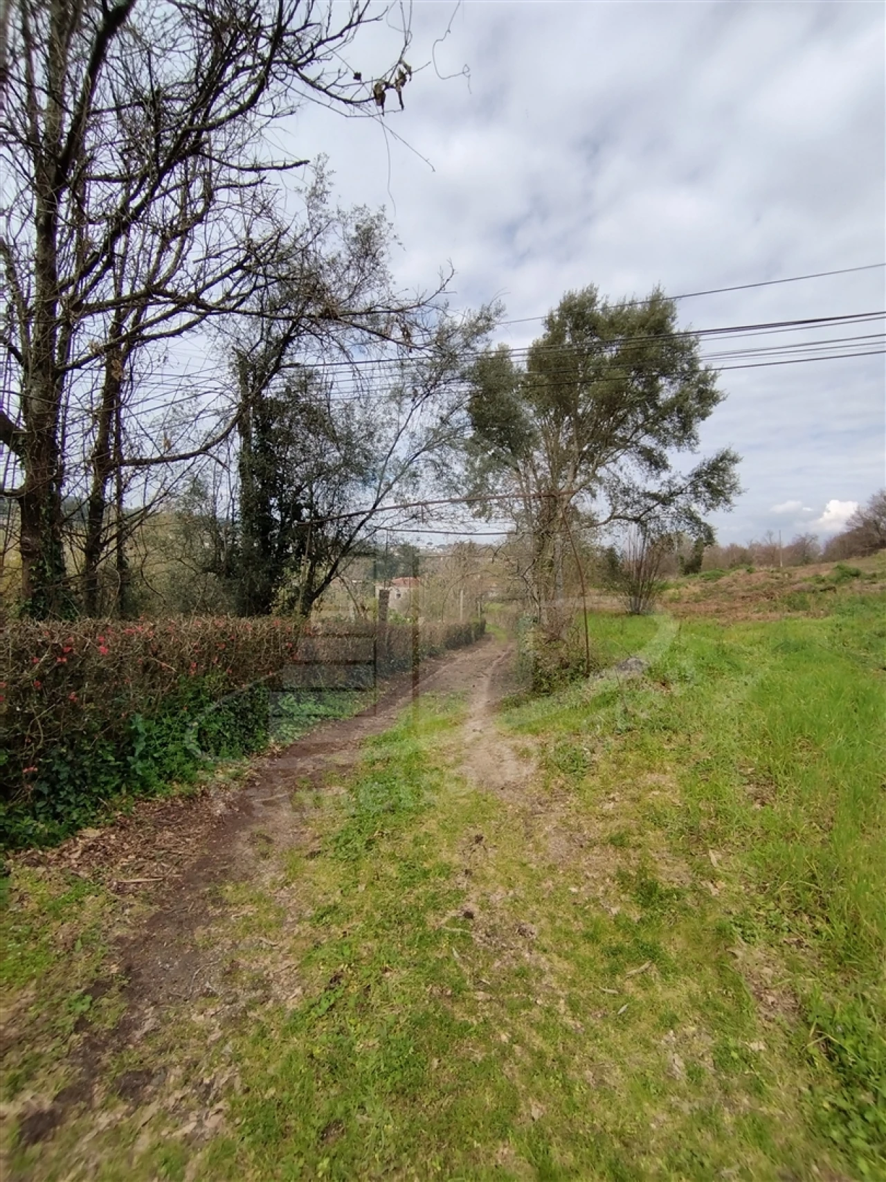 Quinta T0 para Venda em Ferreiros e Gondizalves Foto 6