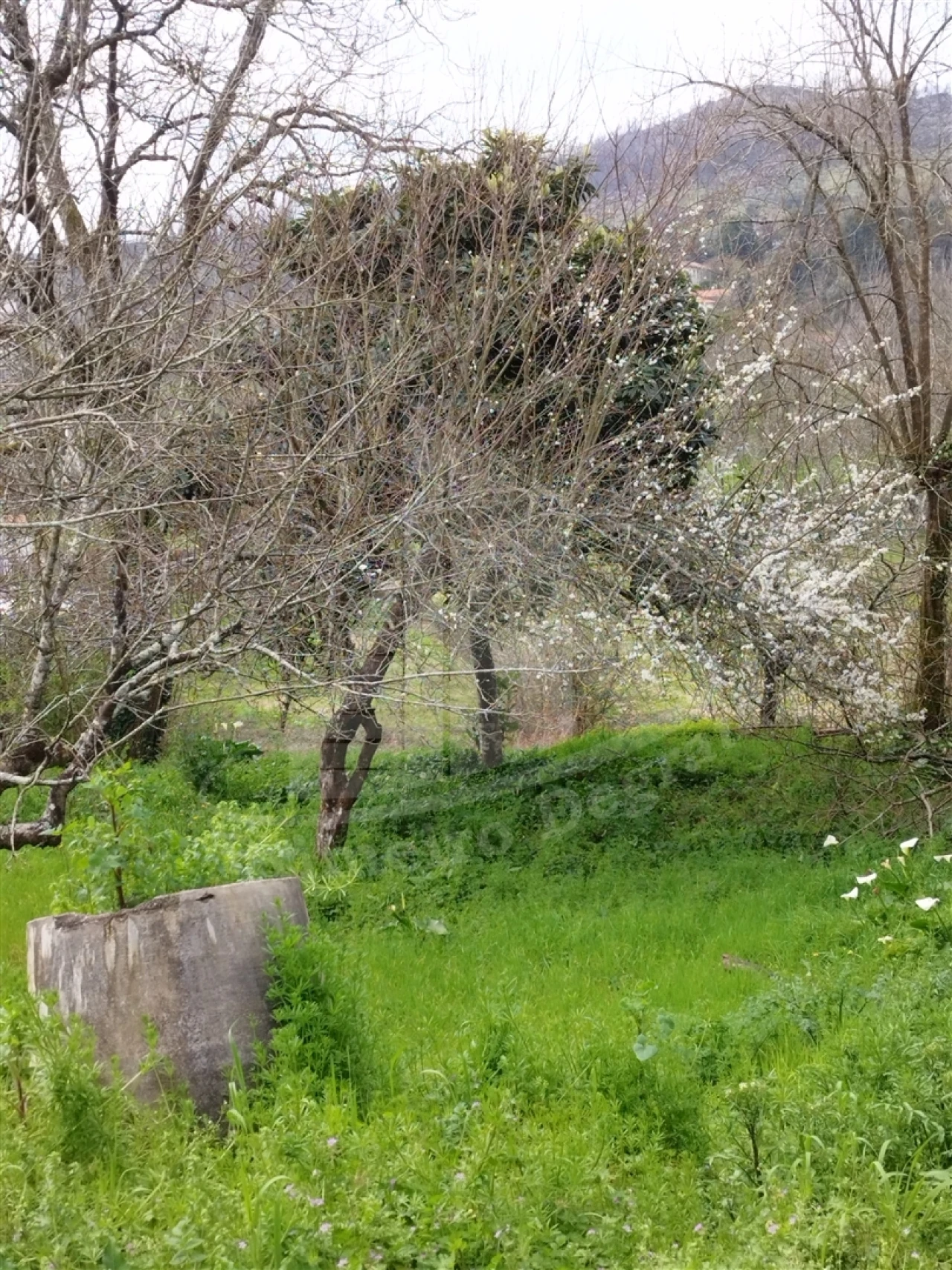 Quinta T0 para Venda em Ferreiros e Gondizalves Foto 17