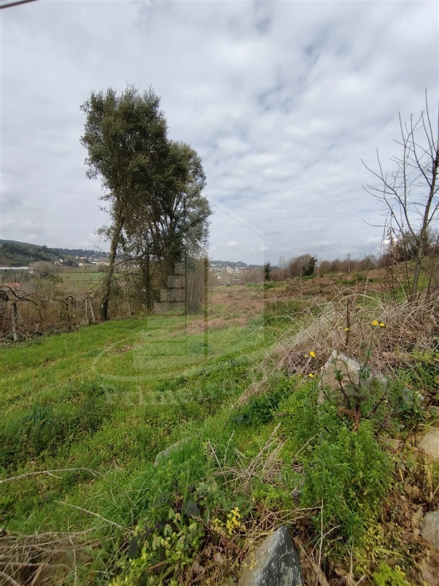 Quinta T0 para Venda em Ferreiros e Gondizalves Foto 4