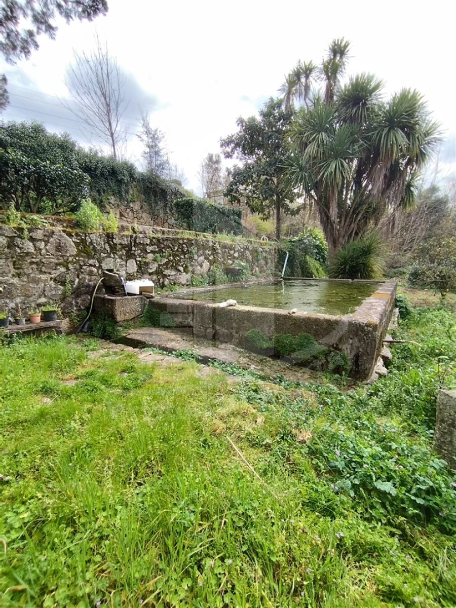 Quinta T0 para Venda em Ferreiros e Gondizalves Foto 29