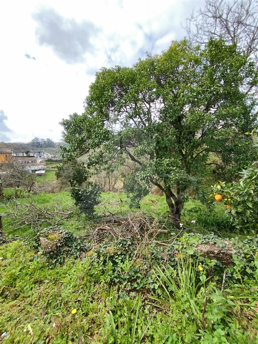 Quinta T0 para Venda em Ferreiros e Gondizalves Foto 24