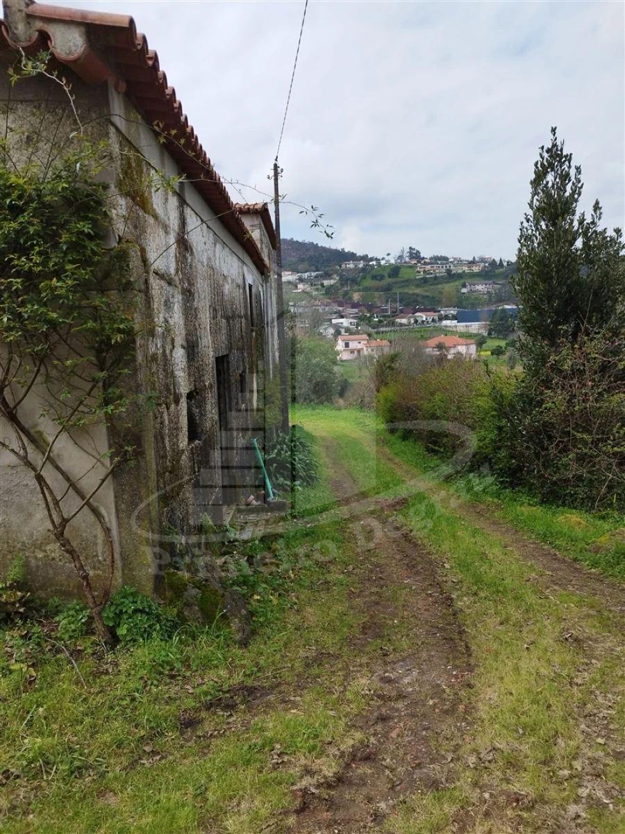 Quinta T0 para Venda em Ferreiros e Gondizalves Foto 14