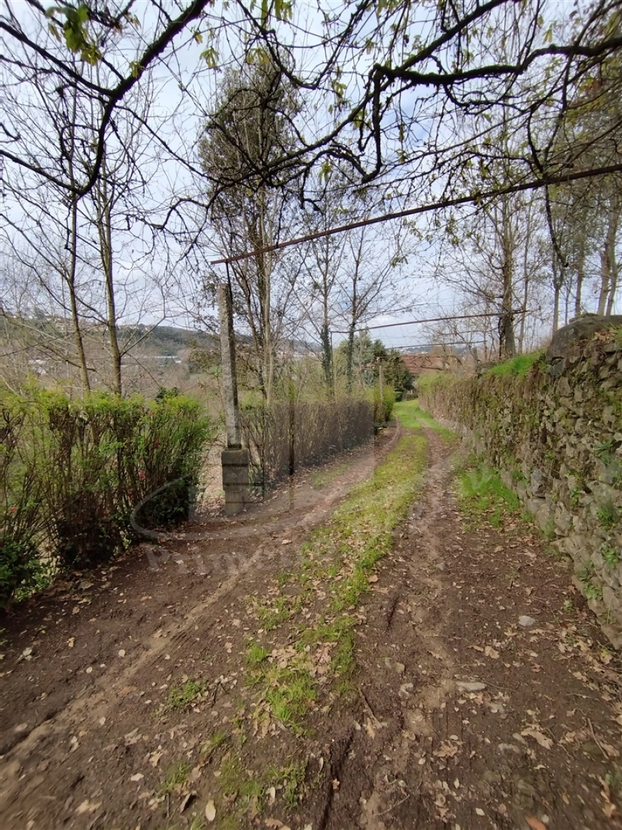 Quinta T0 para Venda em Ferreiros e Gondizalves Foto 9