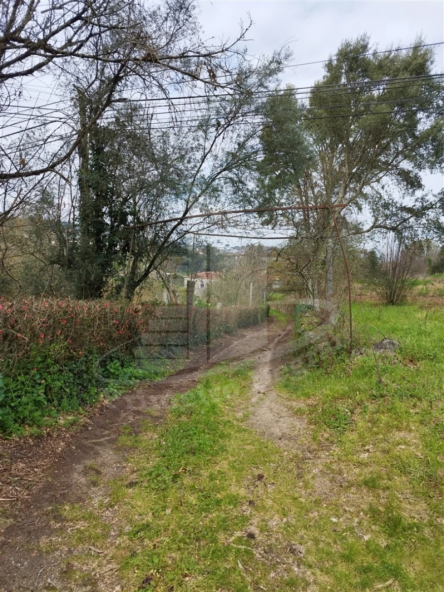 Quinta T0 para Venda em Ferreiros e Gondizalves Foto 5