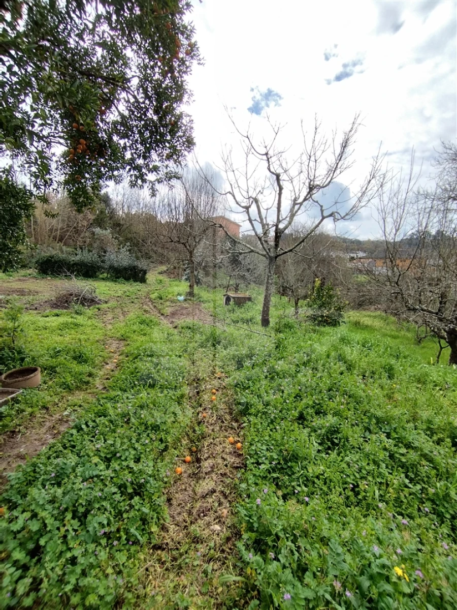 Quinta T0 para Venda em Ferreiros e Gondizalves Foto 16