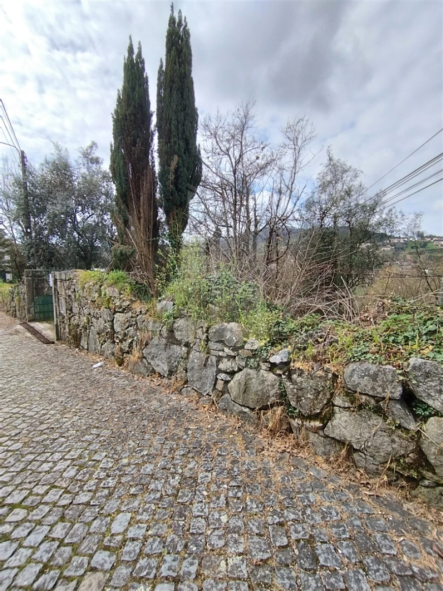 Quinta T0 para Venda em Ferreiros e Gondizalves Foto 3