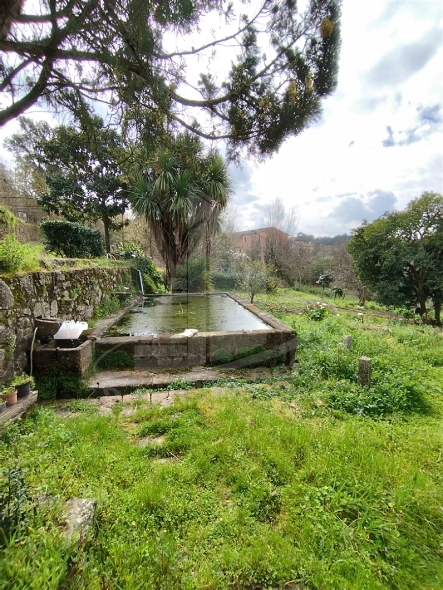 Quinta T0 para Venda em Ferreiros e Gondizalves Foto 33