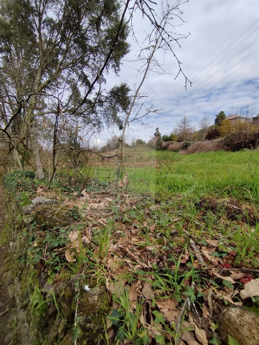 Quinta T0 para Venda em Ferreiros e Gondizalves Foto 8