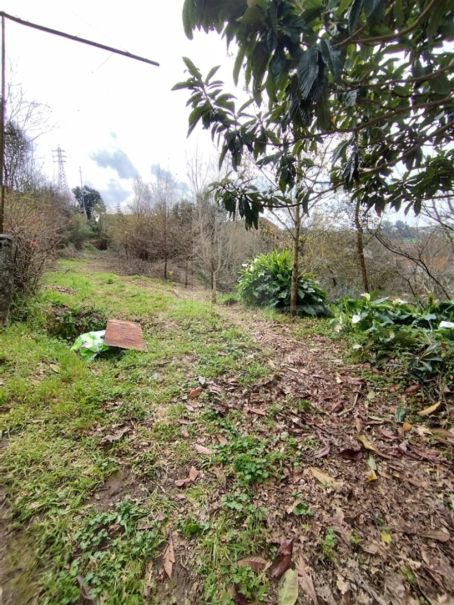 Quinta T0 para Venda em Ferreiros e Gondizalves Foto 12