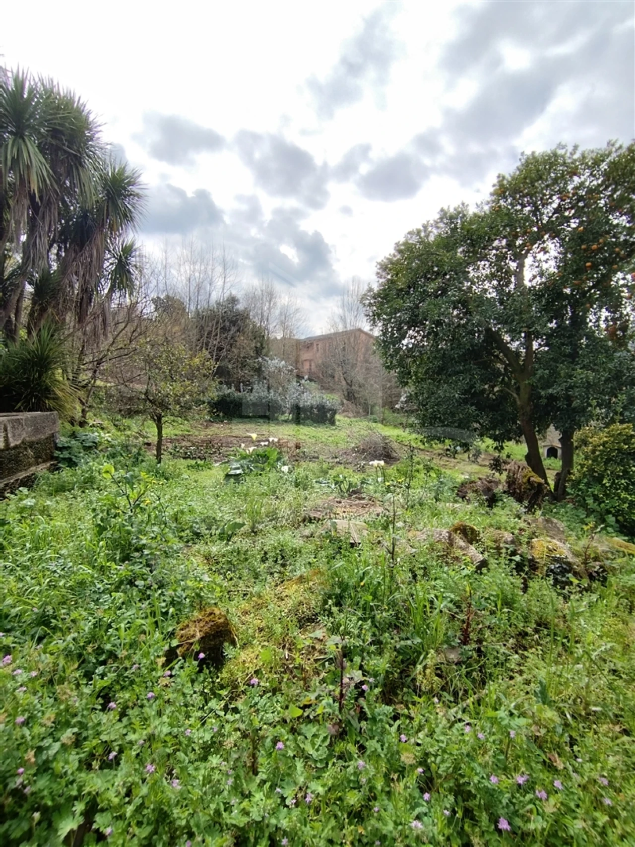 Quinta T0 para Venda em Ferreiros e Gondizalves Foto 28