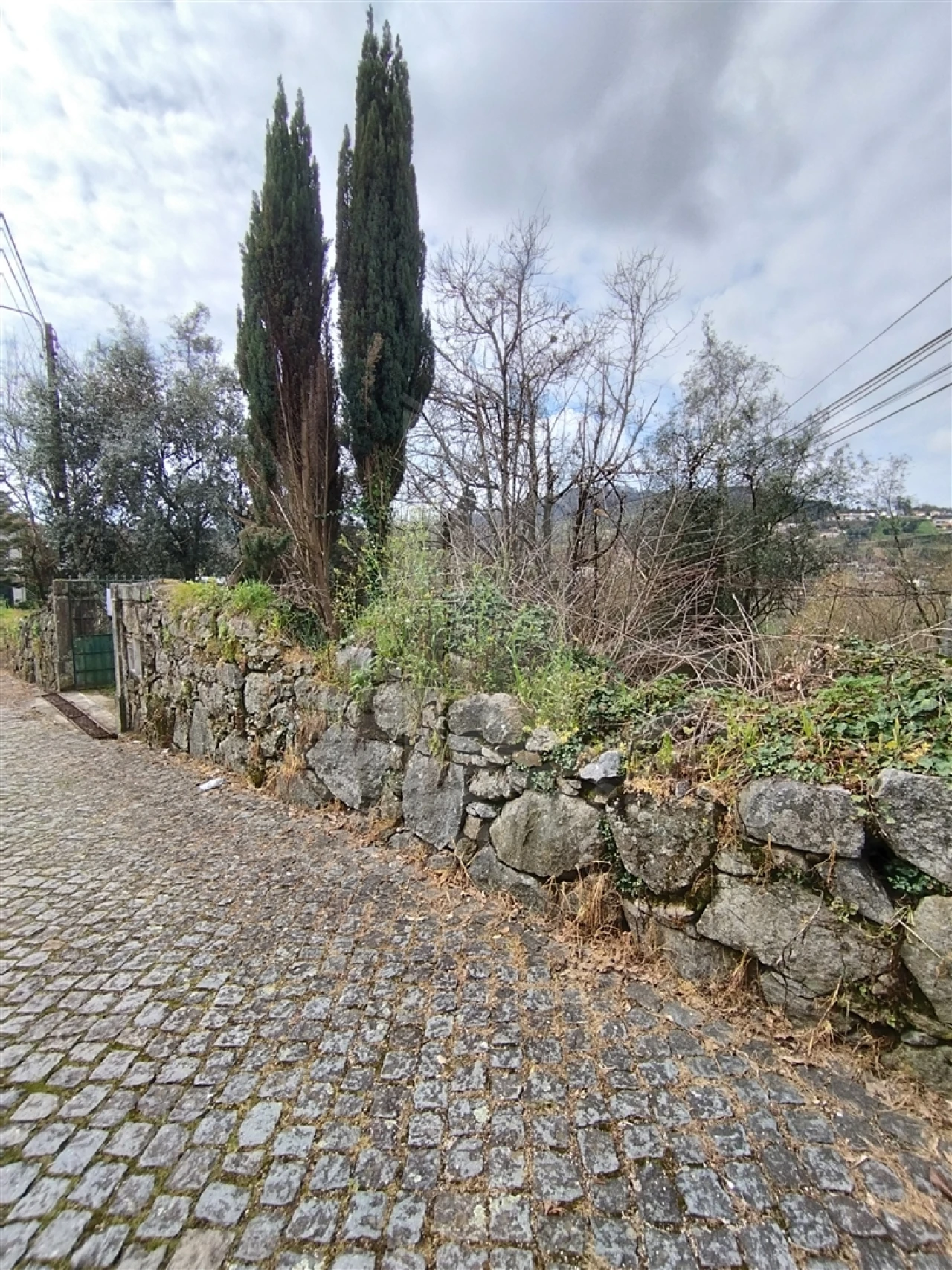 Quinta T0 para Venda em Ferreiros e Gondizalves Foto 3