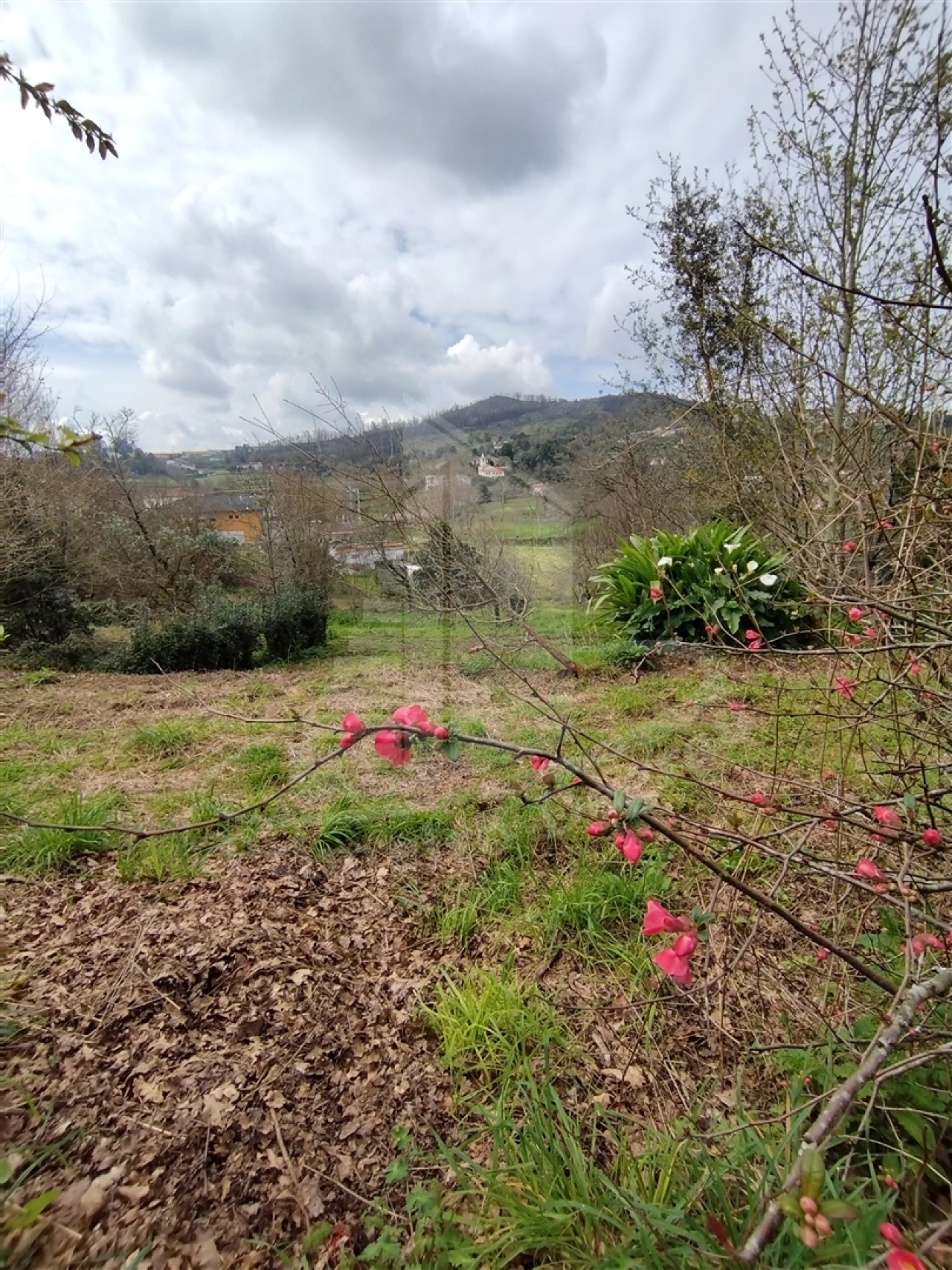 Quinta T0 para Venda em Ferreiros e Gondizalves Foto 11