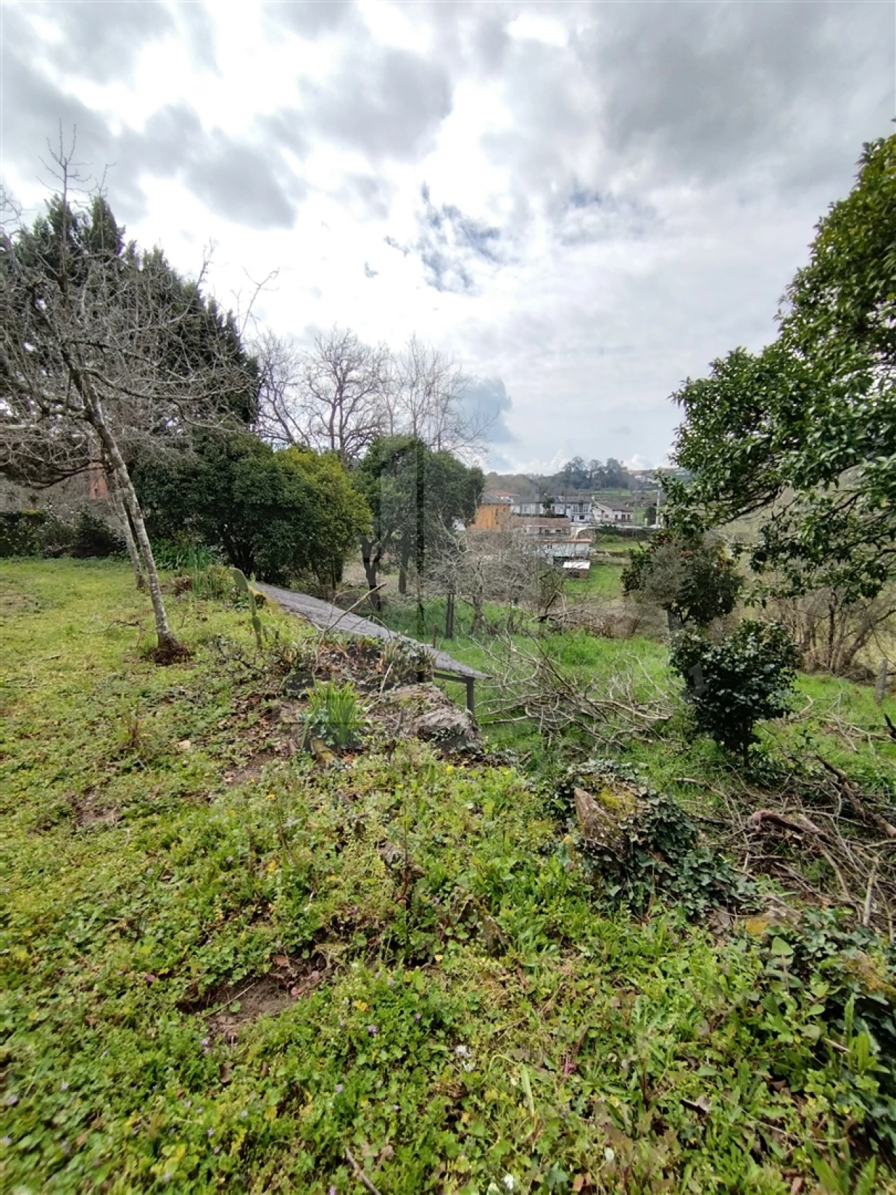 Quinta T0 para Venda em Ferreiros e Gondizalves Foto 23