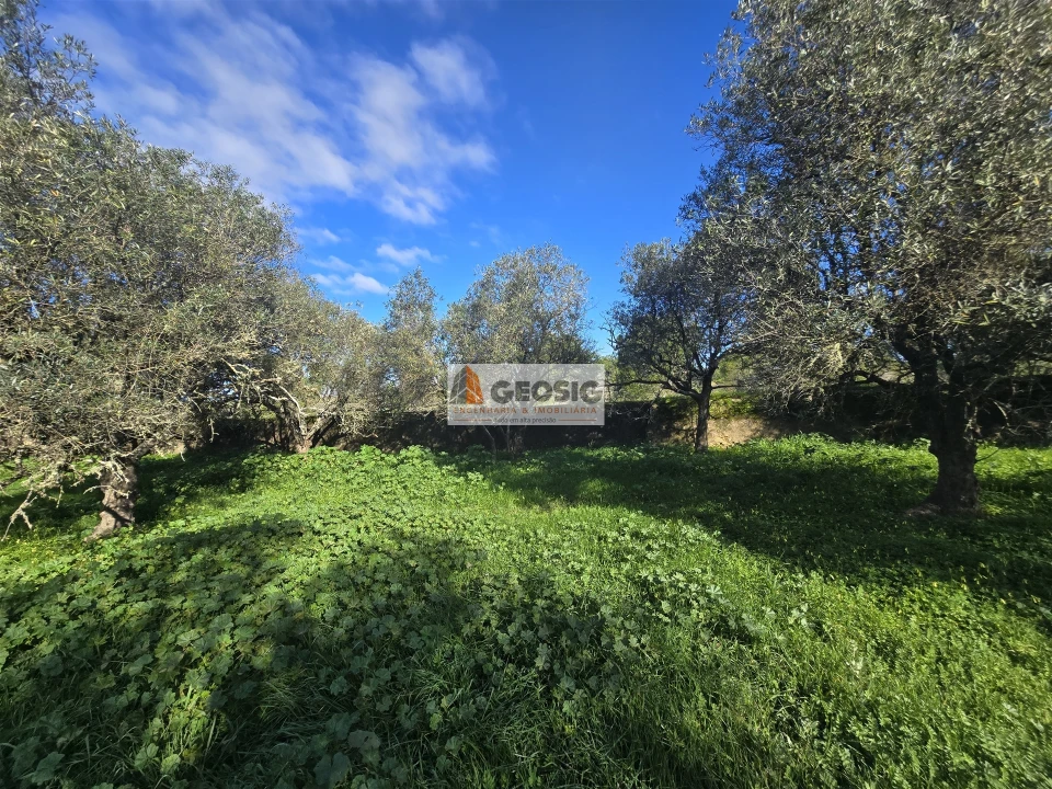 Quinta T2 para Venda em Santa Cruz Foto 16