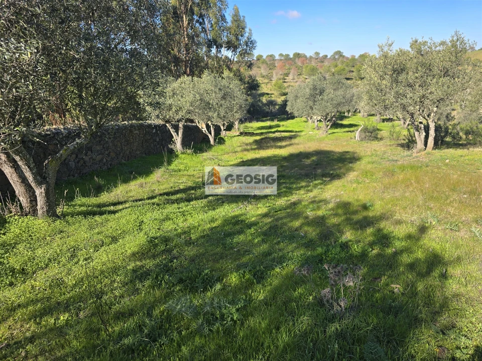 Quinta T2 para Venda em Santa Cruz Foto 24