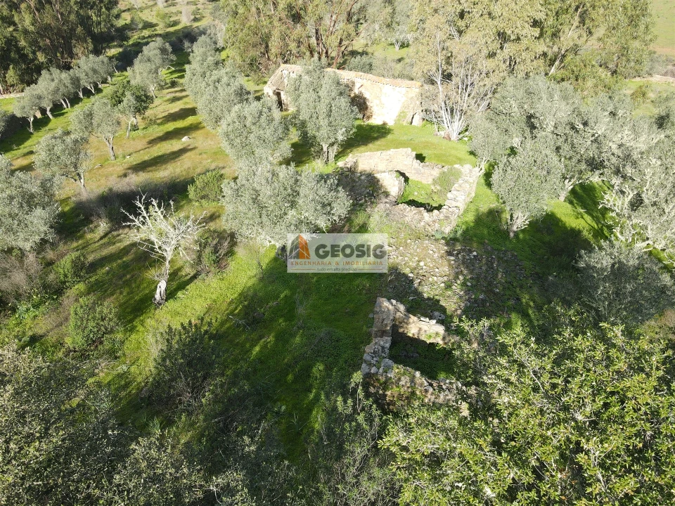 Quinta T2 para Venda em Santa Cruz Foto 2