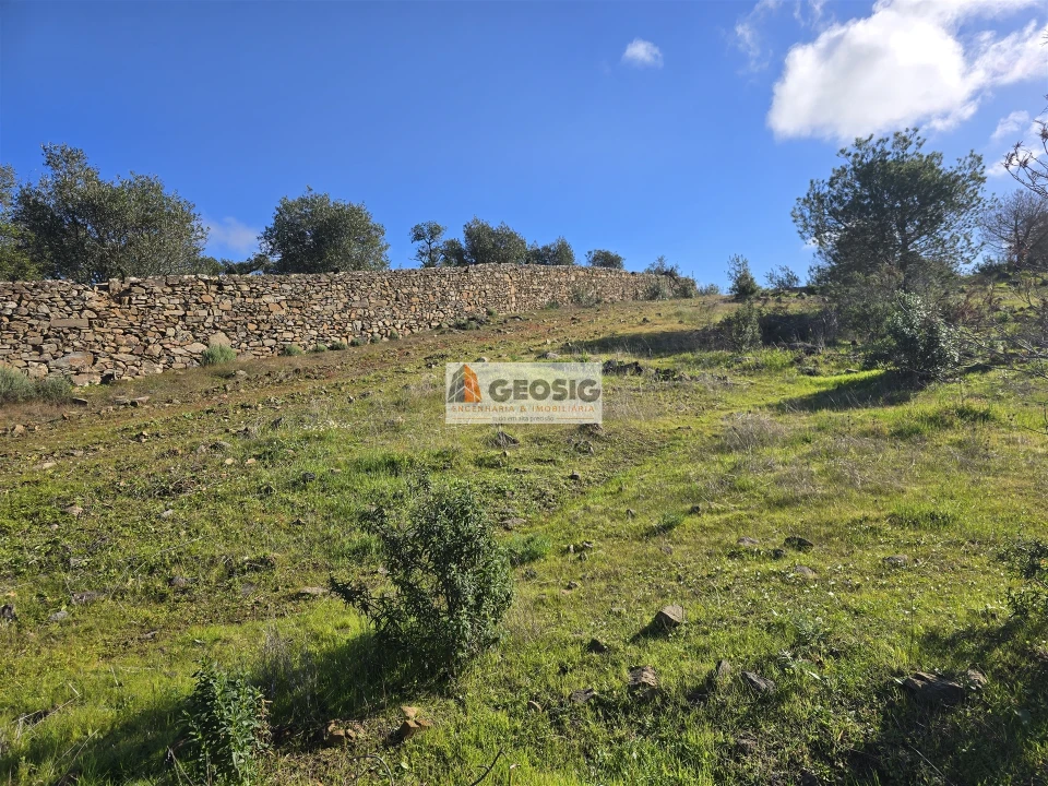 Quinta T2 para Venda em Santa Cruz Foto 29