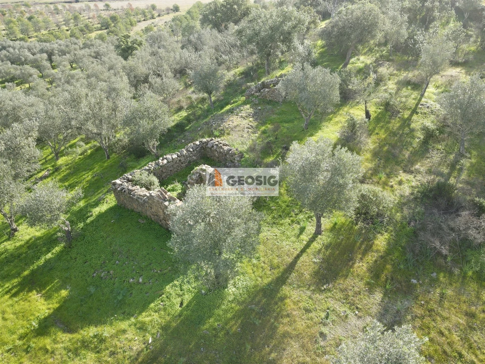 Quinta T2 para Venda em Santa Cruz Foto 6