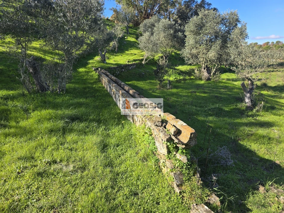 Quinta T2 para Venda em Santa Cruz Foto 21